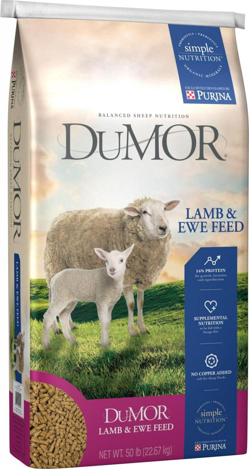 Show Lamb Feeds