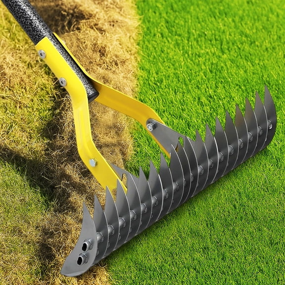 Dual-Action Thatch Rake for Lawn - Efficient 15" Thatching Rake with Sharp Dethatching ,Manual Dethatcher & Scarifier Tool for Dead Grass Removal,Soil Loosening,Garden Yard Lawn Care,55" Long