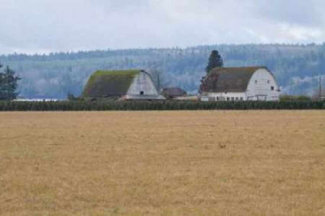 Dual Barns Canvas Art - Dana Styber (12 x 18)