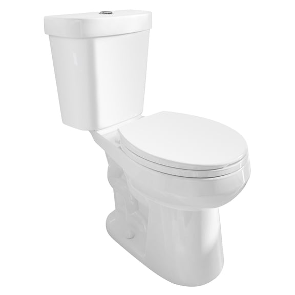 Dual-Flush 1.28 GPF Round Chair Height 2-Piece Toilet w/Floor Mount Installation