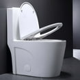DualFlush Elongated OnePiece Toilet (Seat Included)