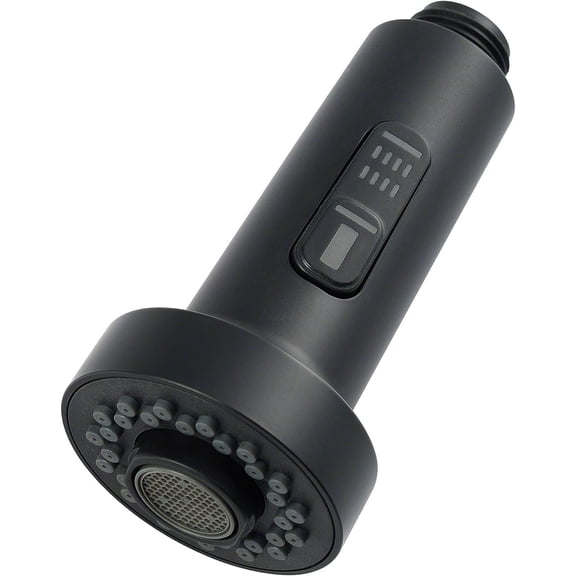 Dual Function Kitchen Faucet Sprayer in Matte Black