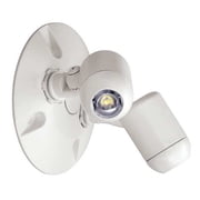 Dual-Lite Led Outdoor Emergency Remote Lighting, Double Head, White