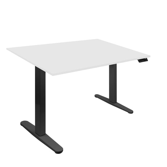 Dual Motor Electric Standing Desk with 48" Tabletop