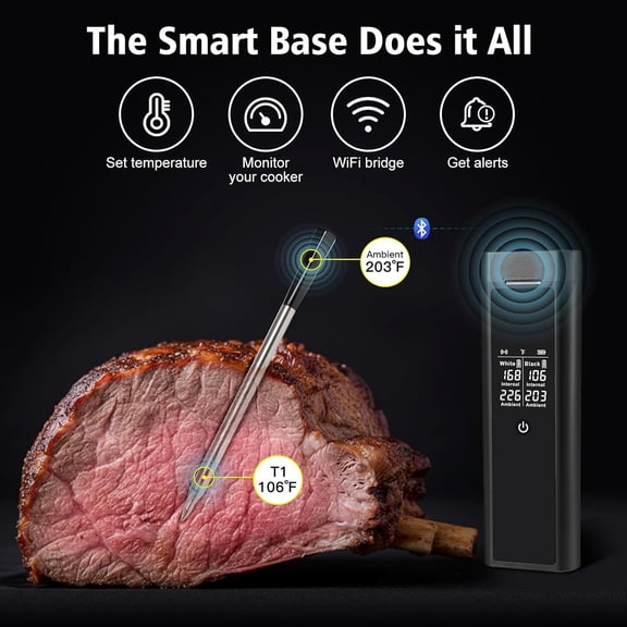 Dual Probe Wireless Meat Thermometer with Digital Large Display, Long Range App Control, Heat Resistant & Waterproof, 0.5S Read, Real-Time Monitoring & Smart Alerts for BBQ, Grill, Oven