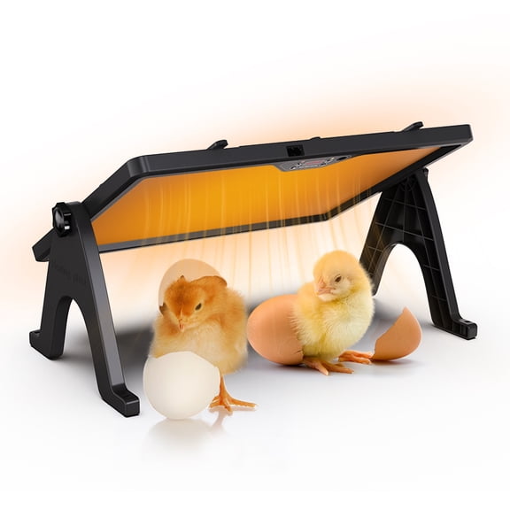 Dual Sides Temperature Display Poultry Coop Heater Chicks Warmer 35 Chick Brooder Heater
