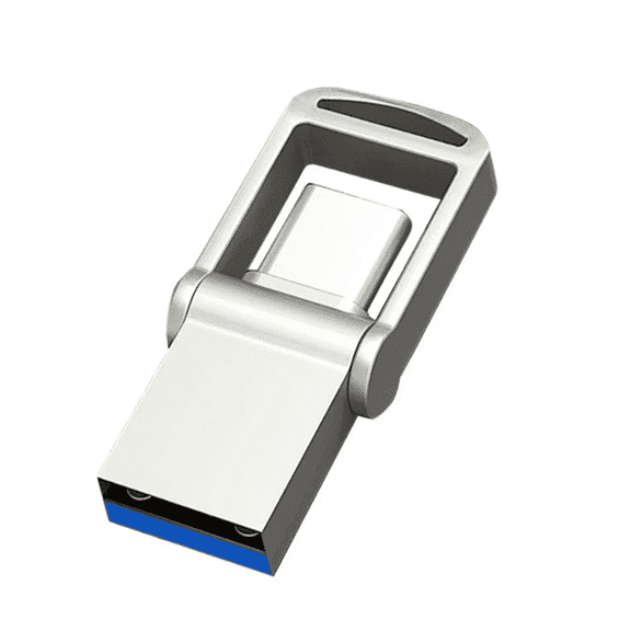 256GB Dual Flash Drive USB3.0 Go USB Type-C Thumb Drive for PC,Laptop,USB C Devices.