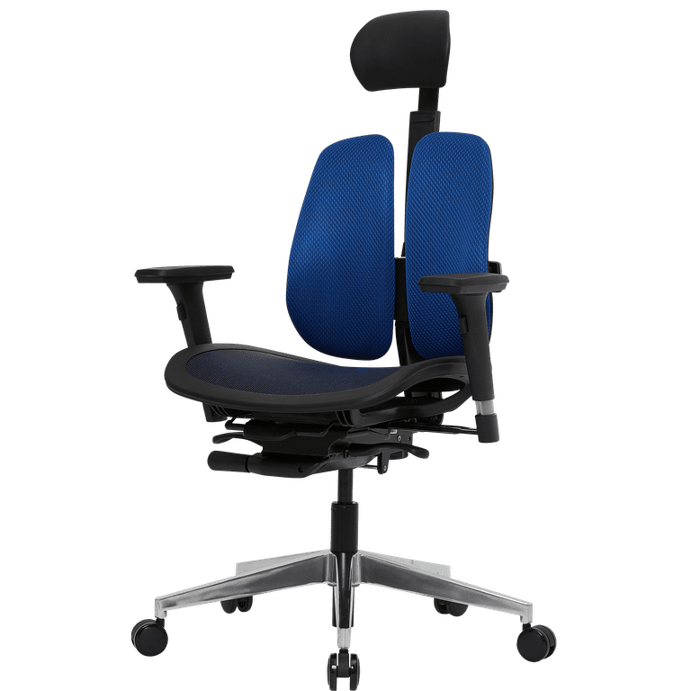 [Dual-backrests] Duorest Alpha - Ergonomic Office Chair, Home Office Desk  Chairs, Executive Office Chair, Best Office Chair for Lower Back Pain, Mesh