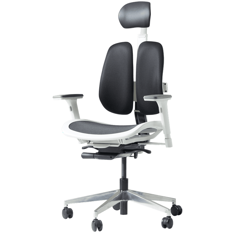 https://i5.walmartimages.com/seo/Dual-backrests-Duorest-Alpha-Ergonomic-Office-Chair-Home-Desk-Chairs-Executive-Best-Chair-Lower-Back-Pain-Mesh-White_2fce1adb-c495-424f-a7ea-8511e496d7cf.6966301c1f56b1e79df7dc61f3aeb9d5.png?odnHeight=768&odnWidth=768&odnBg=FFFFFF