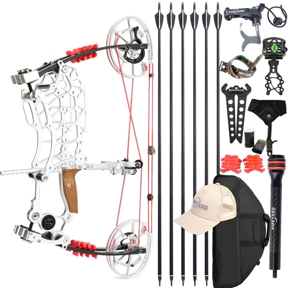 Dual-use Compound Bow Kit Steel Ball Arrows 30-70lbs Archery Outdoor Shoot RH LH