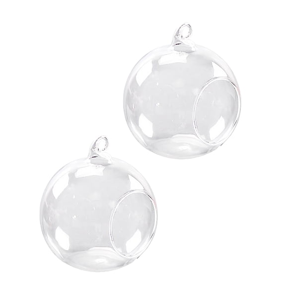Dualoai 2 Pack Glass Hanging Mini Vases Planter Garden Home Decor Centerpieces Gift