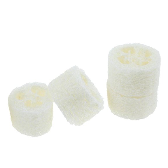 Dualoai 4Pcs, Natural Loofah Soap Dishes, Sponge Holders Savers Trays, Bowl Dish Washing