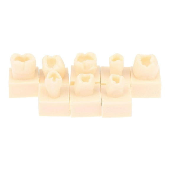 Dualoai 8Pcs Resin Model Set Educational Use Practice Tools for Teaching Study