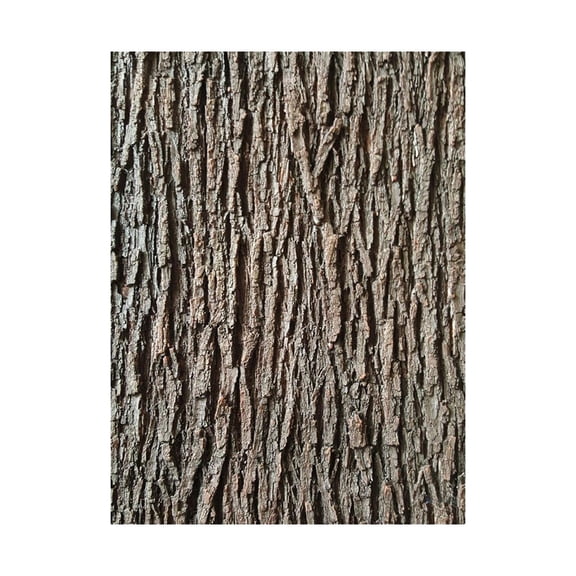 Dualoai Artificial Tree Bark Ideal Coverage Simulation Bark for Columns Walls Floors 200cmx100cm