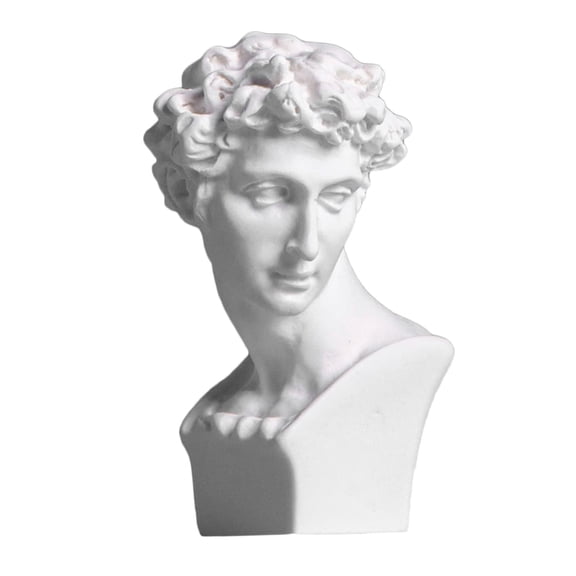 Dualoai Bust Statue Sculpture,Classic Greek Figure Head Statue Figurine Head Sculptures David