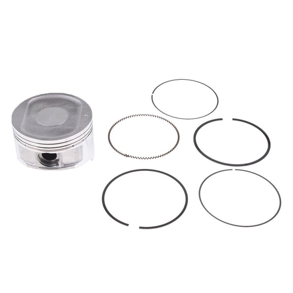 Dualoai Engine Top End Rebuild Piston Ring Kit for Cfmoto 500cc CF500 UTV ATV Quad