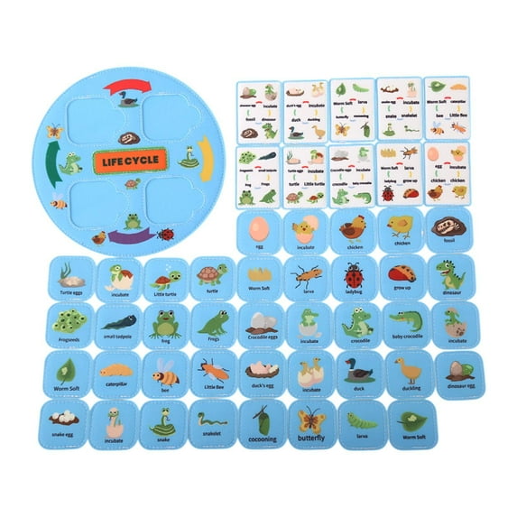 Dualoai Food Chain Party Favors Science Life Cycle Kit Food Web Animal Learning for Blue