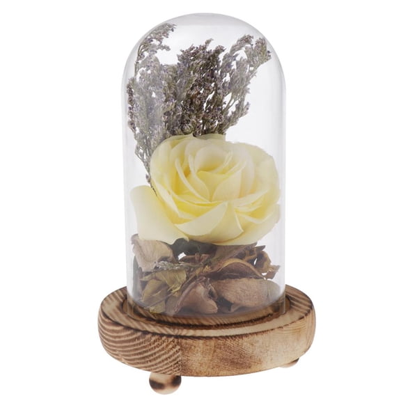 Dualoai Glass Display Cloche Flower Immortal Preservation Vase Yellow