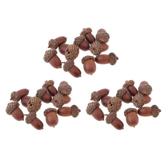 Dualoai Lots 30 Rustic Acorn Premium Rubber Chestnut DIY Table Embellishments Decors