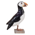 thumbnail image 1 of Dualoai Parrot Statue Art Animal Sculpture for Farmhouse Bookshelf Housewarming Gift, 1 of 9