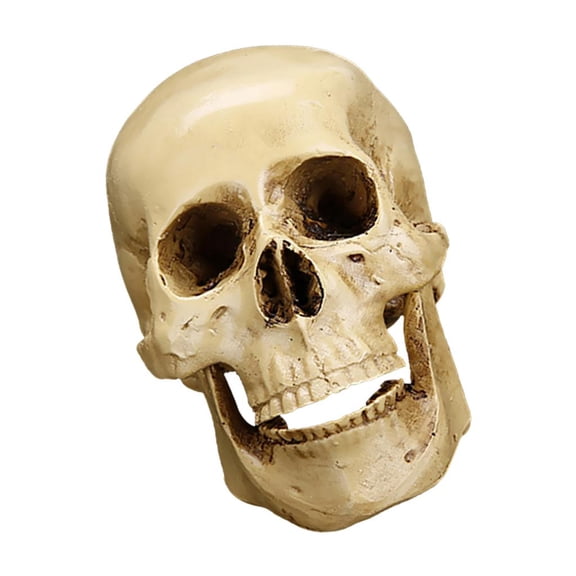 Dualoai Resin Skull Statue Figurine Human Skeleton Head Model Halloween Bar Decoration