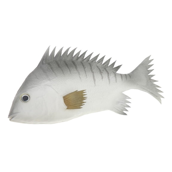 Dualoai Simulated Artificial Bionic Soft Fishing Lures Small Marine Fish Ornament for Grey