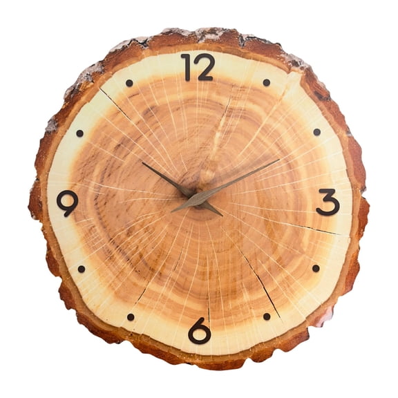 Dualoai Wall Clock Round Artistic Creative Decorative Clock for Office Nursery Study 12 Inch