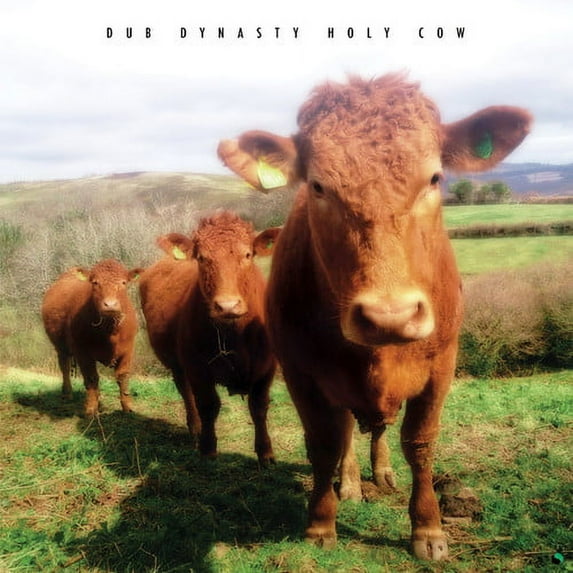 Dub Dynasty - Holy Cow - Electronica - Vinyl