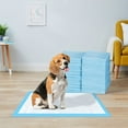 thumbnail image 1 of Dubbin Dog Training Pads, 13 in x 18 in, 100 Count, 1 of 4