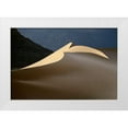 thumbnail image 1 of Dubikovskiy, Dmitry 32x23 White Modern Wood Framed Museum Art Print Titled - Sandy Bird, 1 of 4