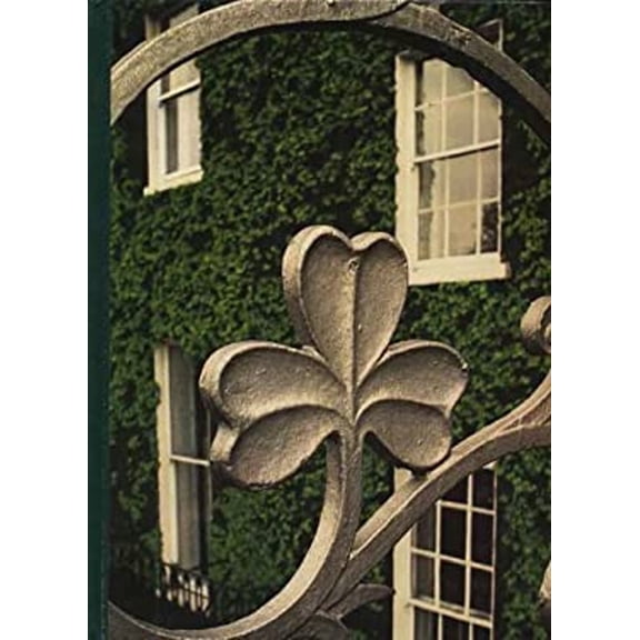 Pre-Owned Dublin (Hardcover) 9780809423439