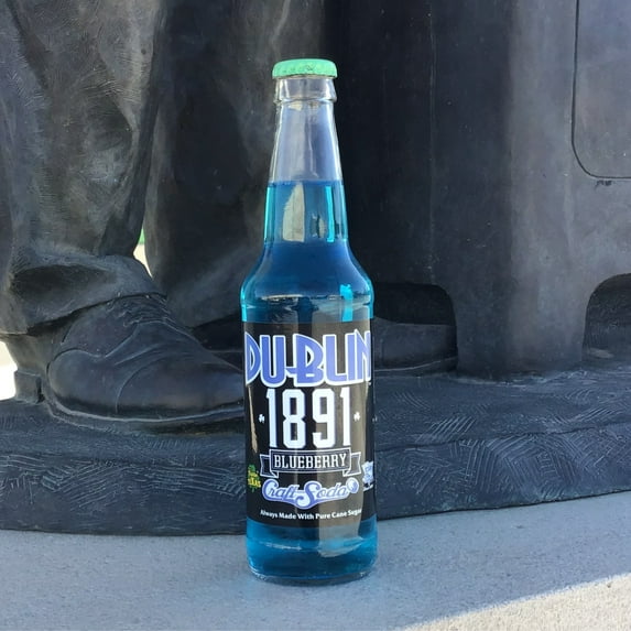 Dublin Bottling Works 12 Pack Sodas in Glass Bottles - 16 Different Flavors - Bottling in Dublin, Texas Since 1891 - Bundled by Louisiana Pantry (Blueberry)