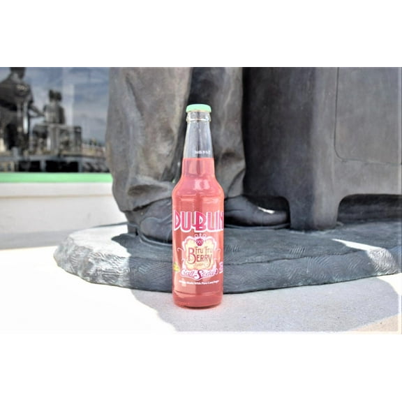 Dublin Bottling Works 12 Pack Sodas in Glass Bottles - 16 Different Flavors - Bottling in Dublin, Texas Since 1891 - Bundled by Louisiana Pantry (Fru Fru Berry)