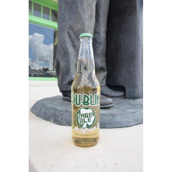 Dublin Bottling Works 12 Pack Sodas in Glass Bottles - 16 Different Flavors - Bottling in Dublin, Texas Since 1891 - Bundled by Louisiana Pantry (Ginger Ale)