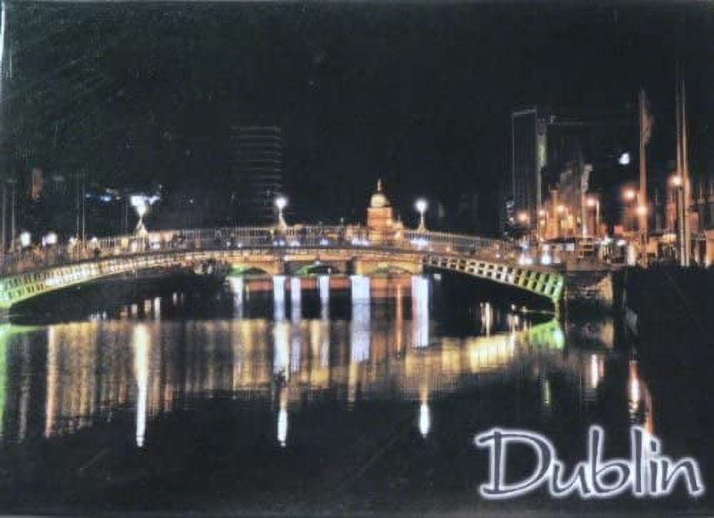 Dublin Ireland Fridge Collector's Souvenir 2.5 inches X 3.5