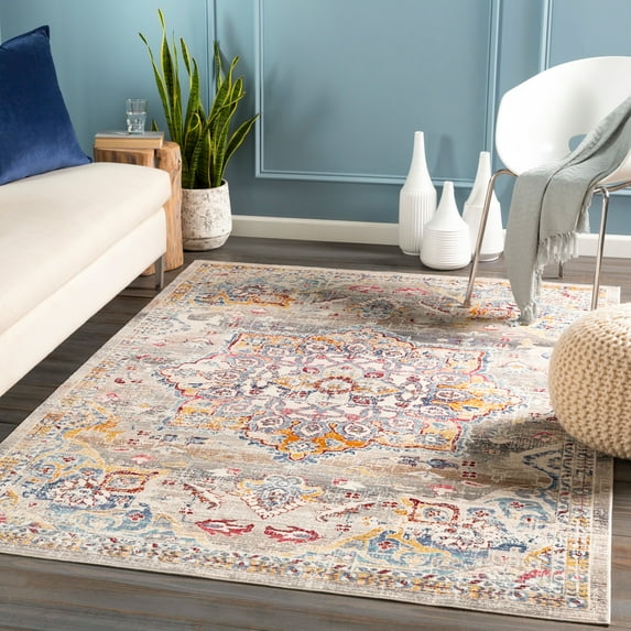Dublin Medium Gray 2' x 3'2" Traditional Rectangle Area Rug