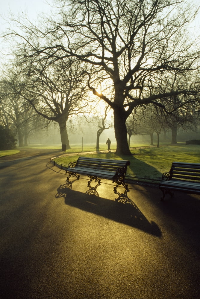 Dublin - Parks St Stephens Green Canvas Art - The Irish Image Collection Design Pics (24 x 36)