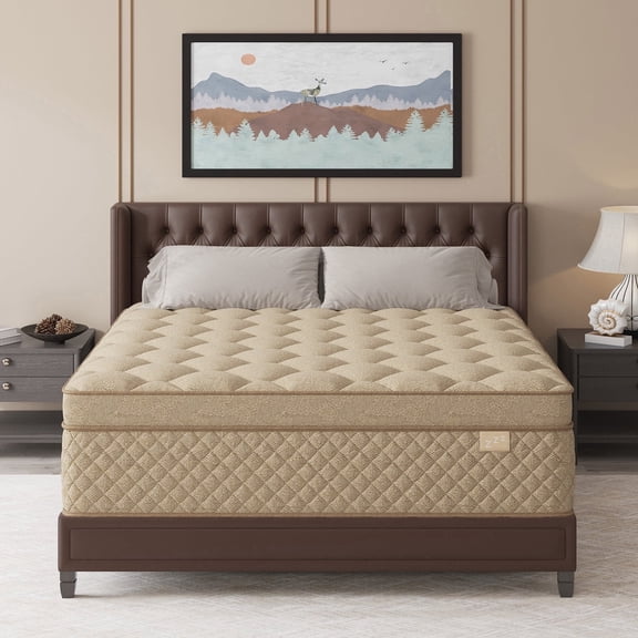 Duchessz Queen Mattress 10" Medium Firm Hybrid Mattress in a Box Gel Memory Foam,MotionI Solation