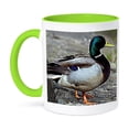 thumbnail image 1 of 3dRose, Duck, 15oz Two-Tone Green Mug, 1 of 7