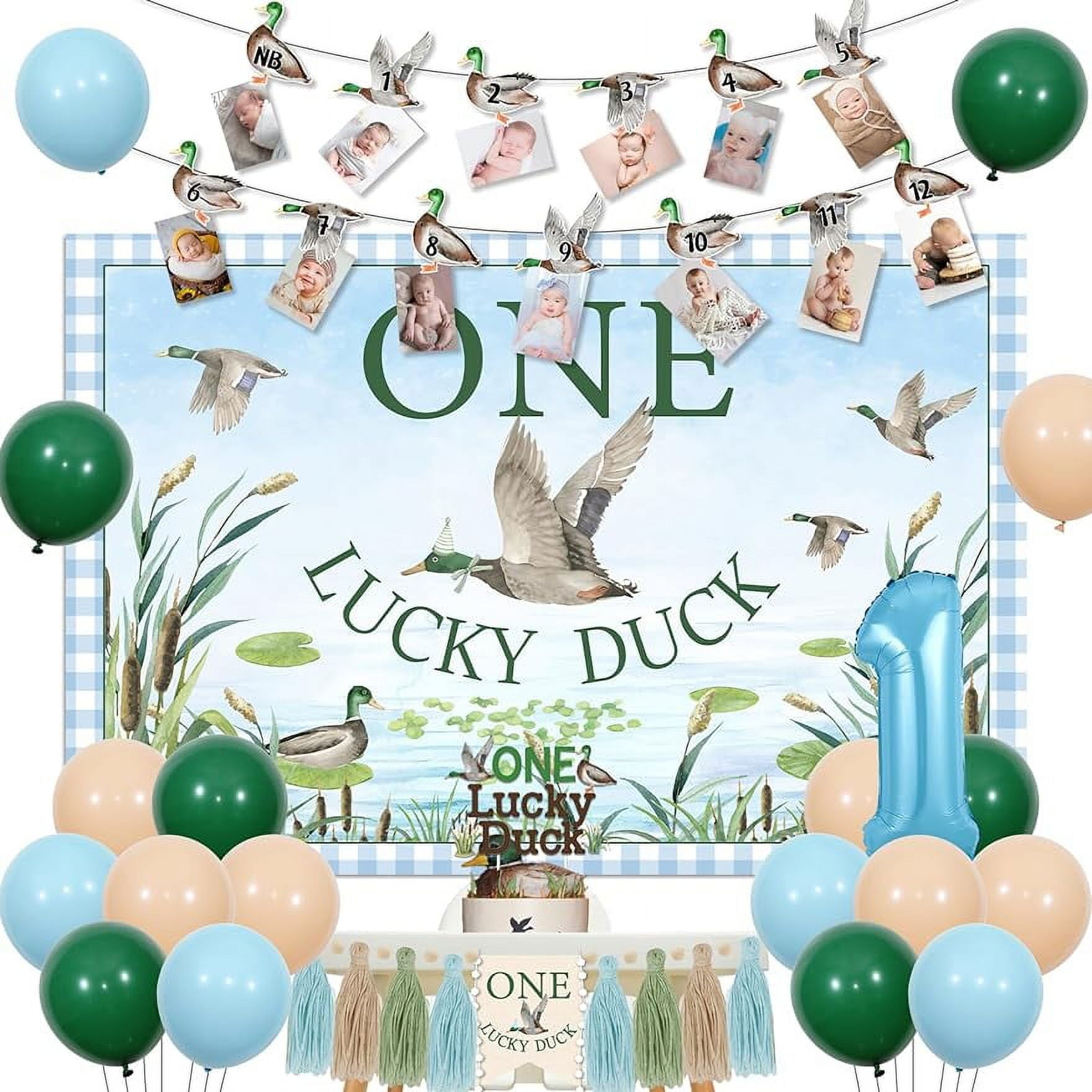 Duck 1st Birthday Decoration One Lucky Duck Birthday Photo Banner Duck ...