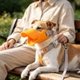 thumbnail image 1 of Duck Bill Silicone Dog Muzzle, Soft Breathable Mouth Cover, Adjustable Anti Biting Barking Muzzle, Anti Scavenging Guard, Small Medium Dogs, 1 of 6