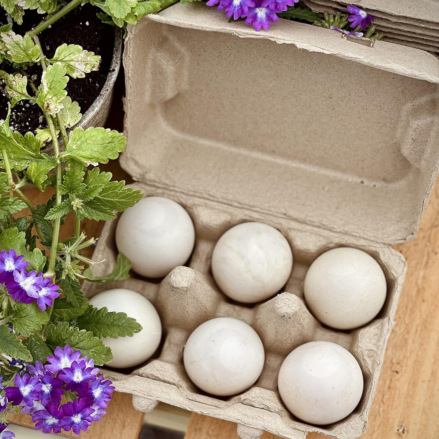 HENLAY Duck Egg Beige Pulp Paper  Dozen Egg Cartons, Reusable 20-Pack