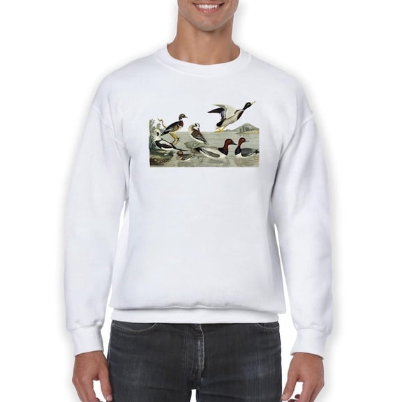 Duck Family Sweatshirt Men -Alexander Wilson Designs, Male 4X-Large