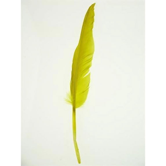Duck Feather Decorative, 14-inch, 10-piece, Yellow