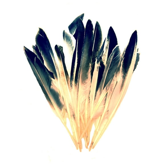 Duck Hat Feathers Bulk White Feather Crafts Wet Fly Tying Materials Fishing Tackle Supplies