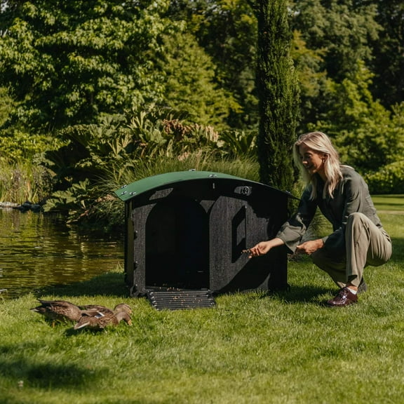 Duck House
