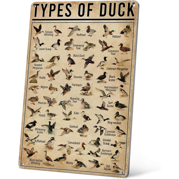 Duck Hunting Gifts For Men - Types Of Duck Metal Signs Vintage - Hunting Decor For Boys Room/Little Man Cave - Duck Hunting Accessories - Tin Sign 12X8 Inches