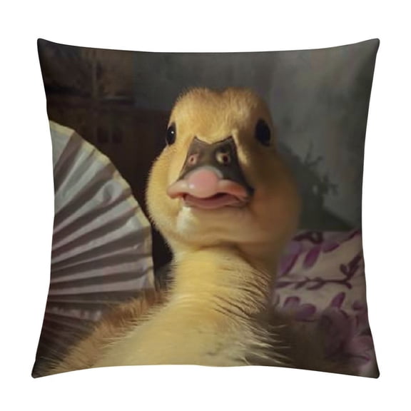 Duck Meme Funny Throw Pillow Case,for Daughter, Son Gifts, Dorm Room Accessories Graduation Party, Decorative Cushion Cover for Sofa Couch Bed