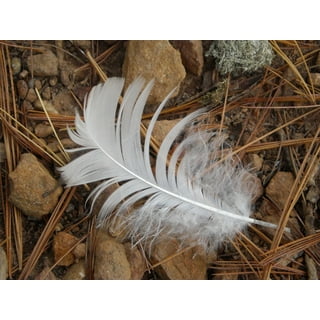 Feather Value Pack, 71 Grams, Assorted Colors 
