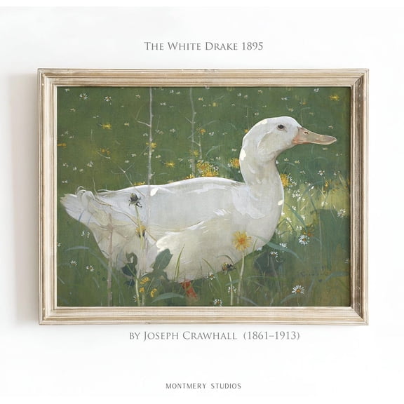 Duck Print, Nursery Duck Theme, Cozy Cottagecore Nursery, Woodland Nursery Decor, Country Farmhouse Nursery, Boys and Girls Room Art, AN102 Poster, Unframed Poster Size 8x12 F03.1.19l390